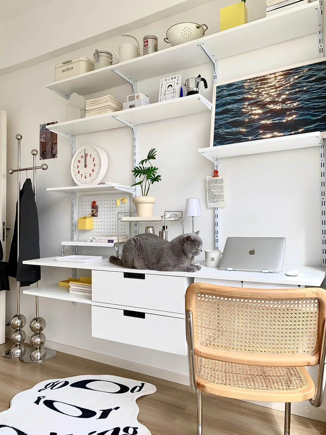 ?铂耐定制衣柜/衣帽间/书架，免费设计