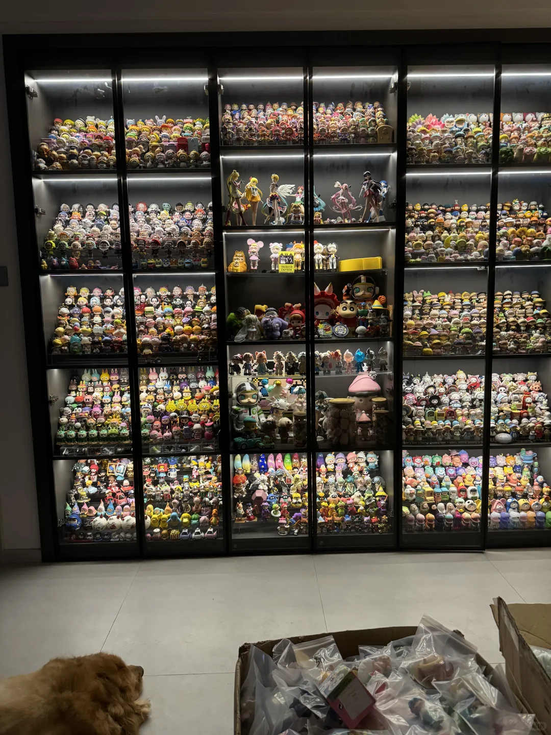 拥有一面盲盒墙的快乐