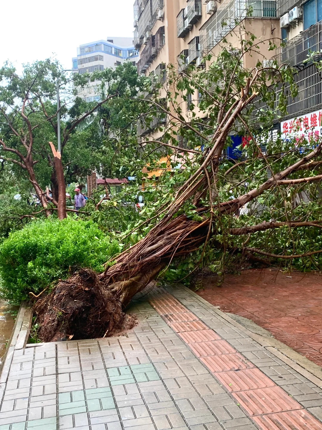 台风“摩羯”后的家?｜断桥铝门窗的重要性