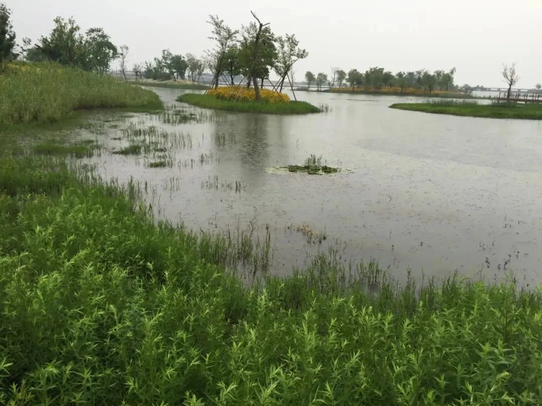 受损水体修复技术系统构建思路…..