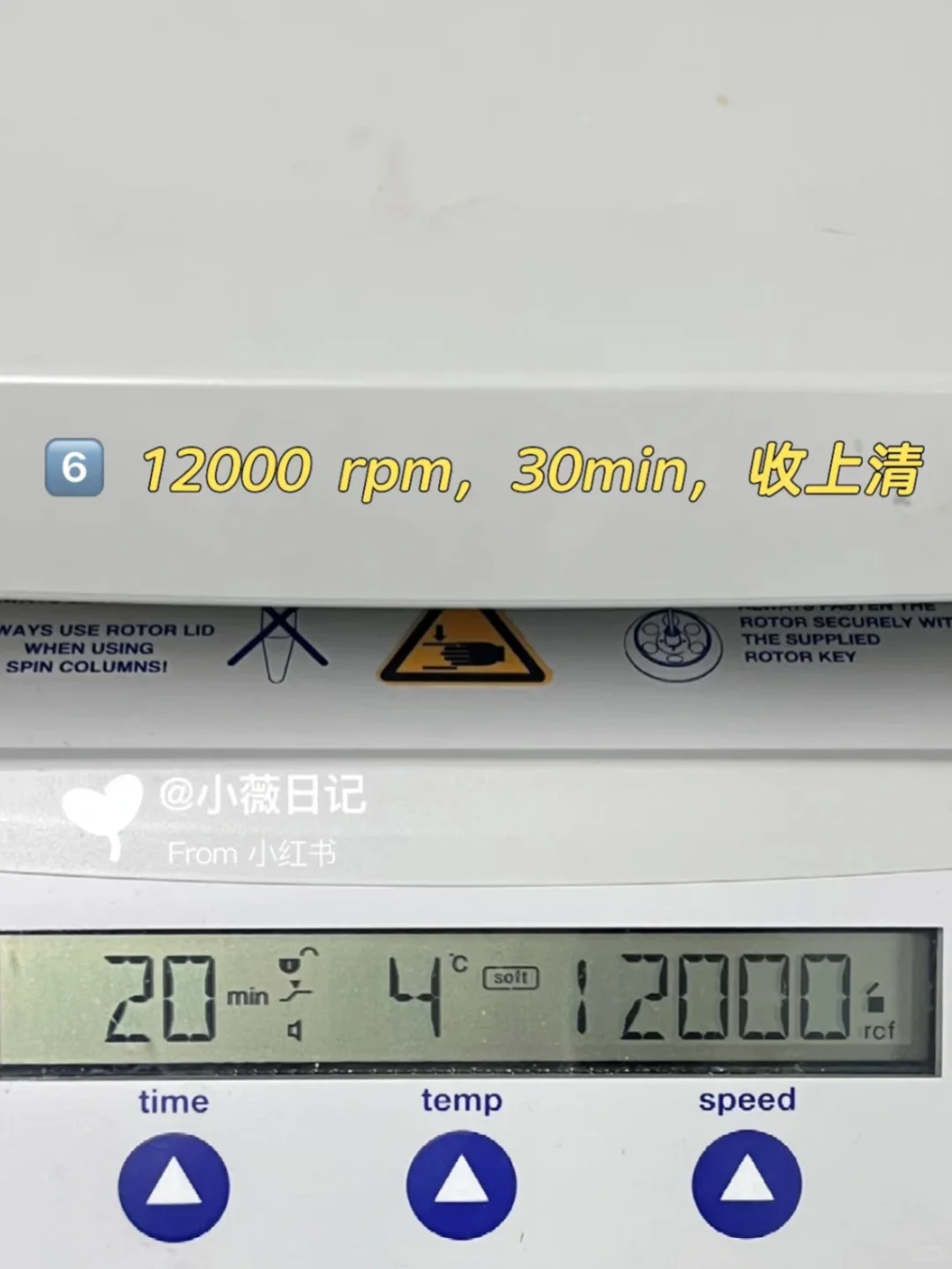 线粒体DNA拷贝数检测protocol详解✅
