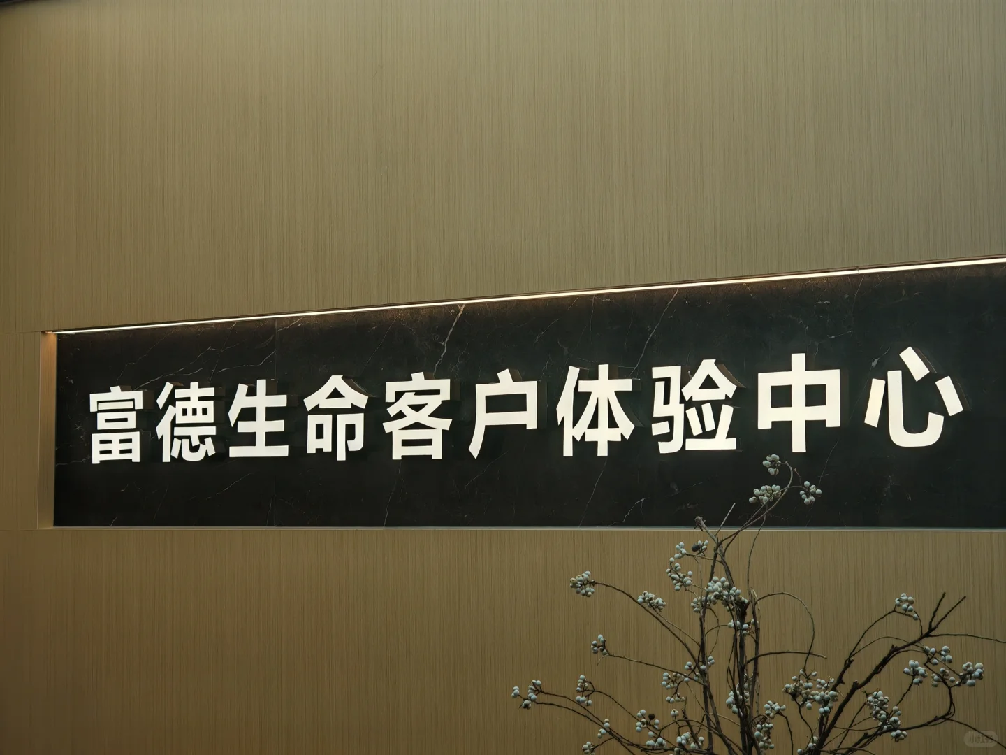 富德生命人寿保险公司