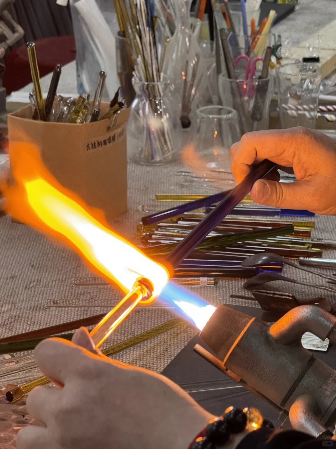 新竹最美「玻璃溫室」SPRING POOL GLASS Stud