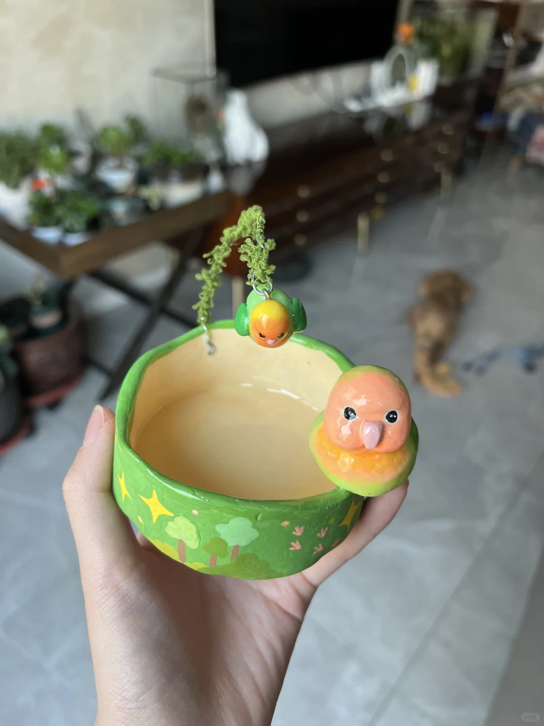 小鸟食盆大成功！