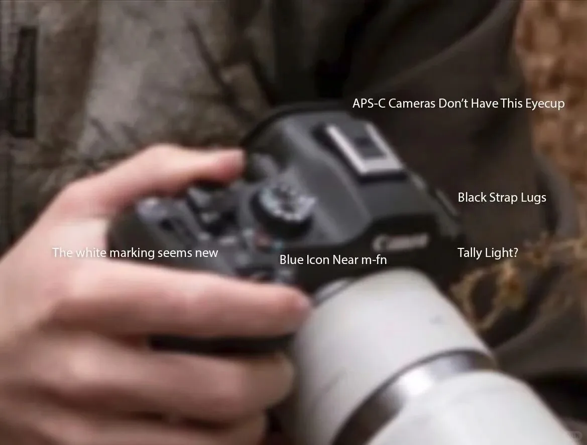 佳能EOS R6 Mark III这次终于不鸽了