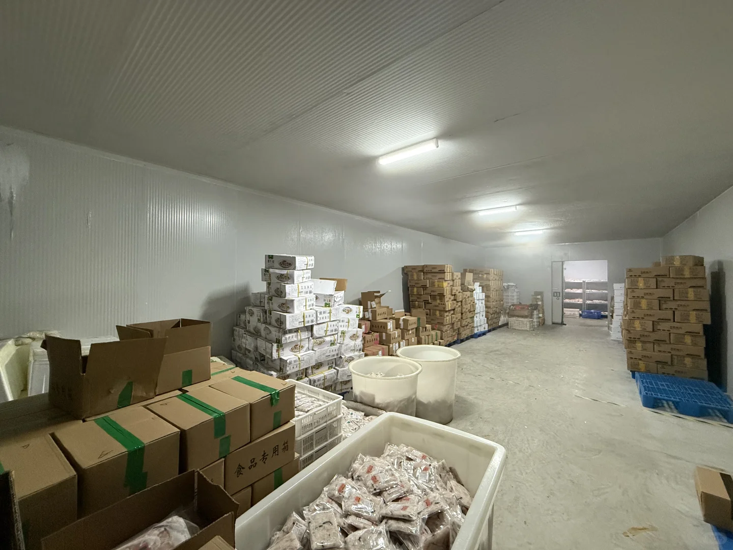 啥冷冻食品厂这么牛？让饭店出餐速度“飞”起