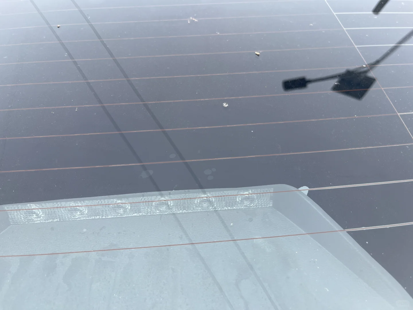 后挡风玻璃昨天贴的，今天就这样了