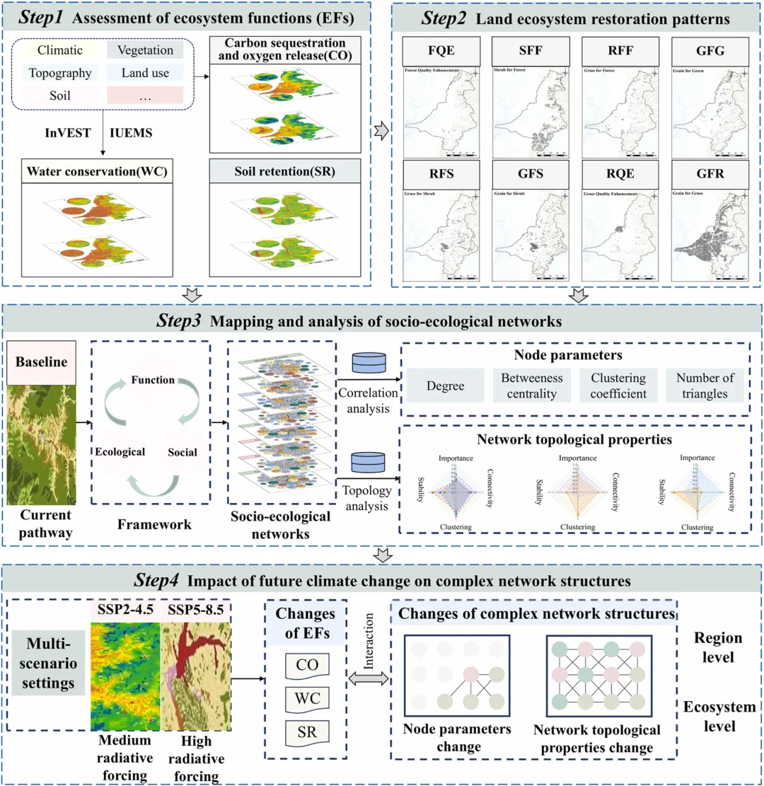 1区顶刊丨复杂网络解析生态修复多情景效应
