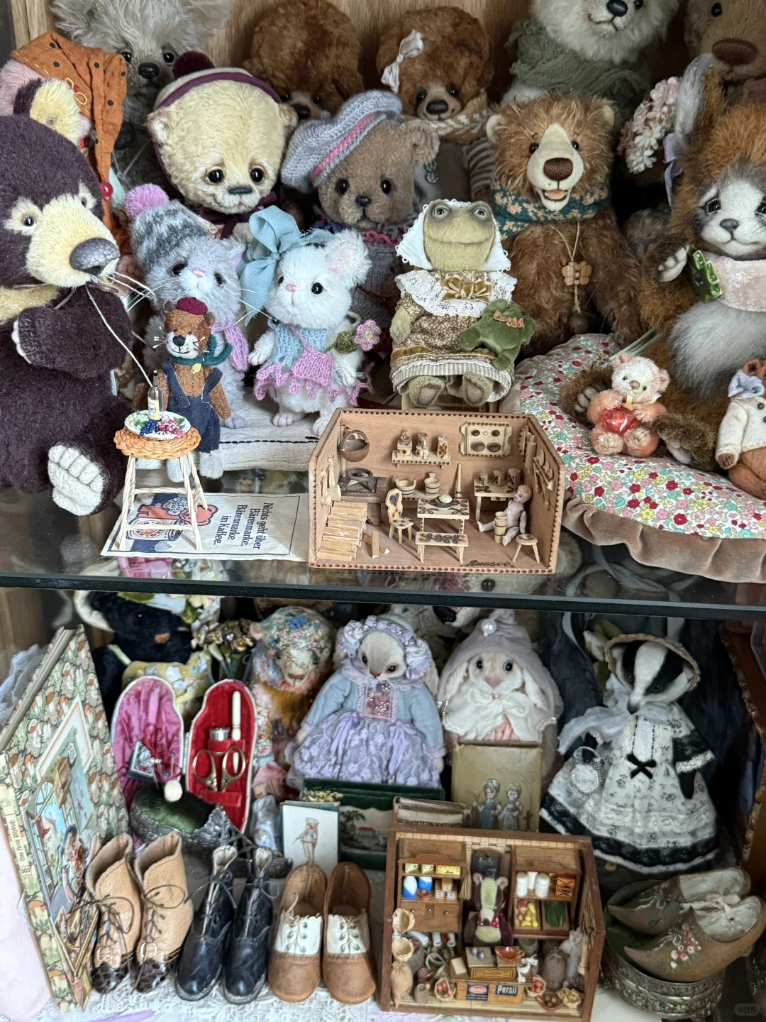 ?珍奇屋｜我家奇奇怪怪的玩物收藏?