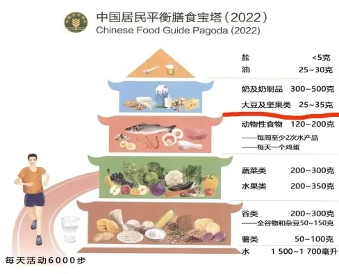 想做营养密集度高真正对身体有价值的食物