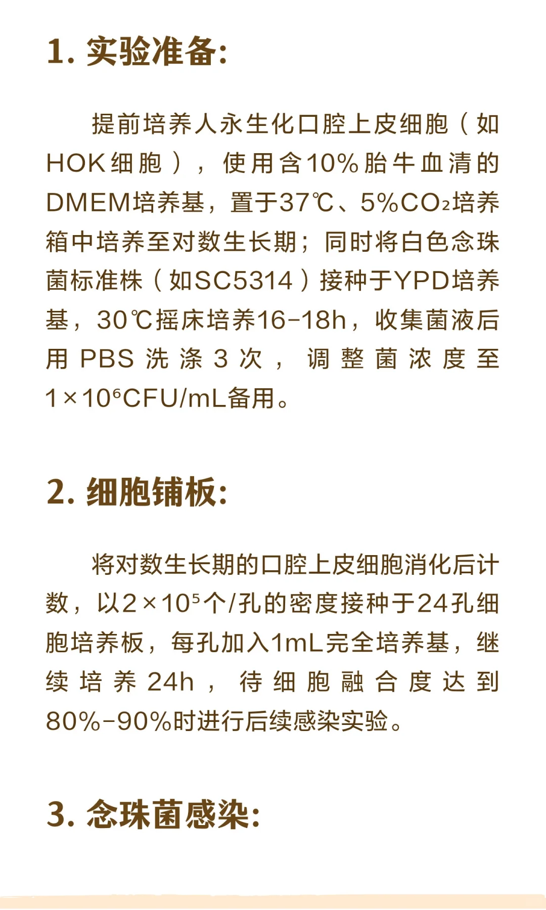 白色念珠菌感染口腔上皮细胞模型