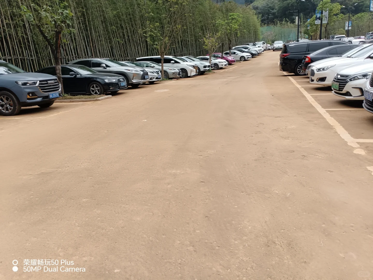 盐碱地改良 兰州重金属土壤修复 陕西淤泥原