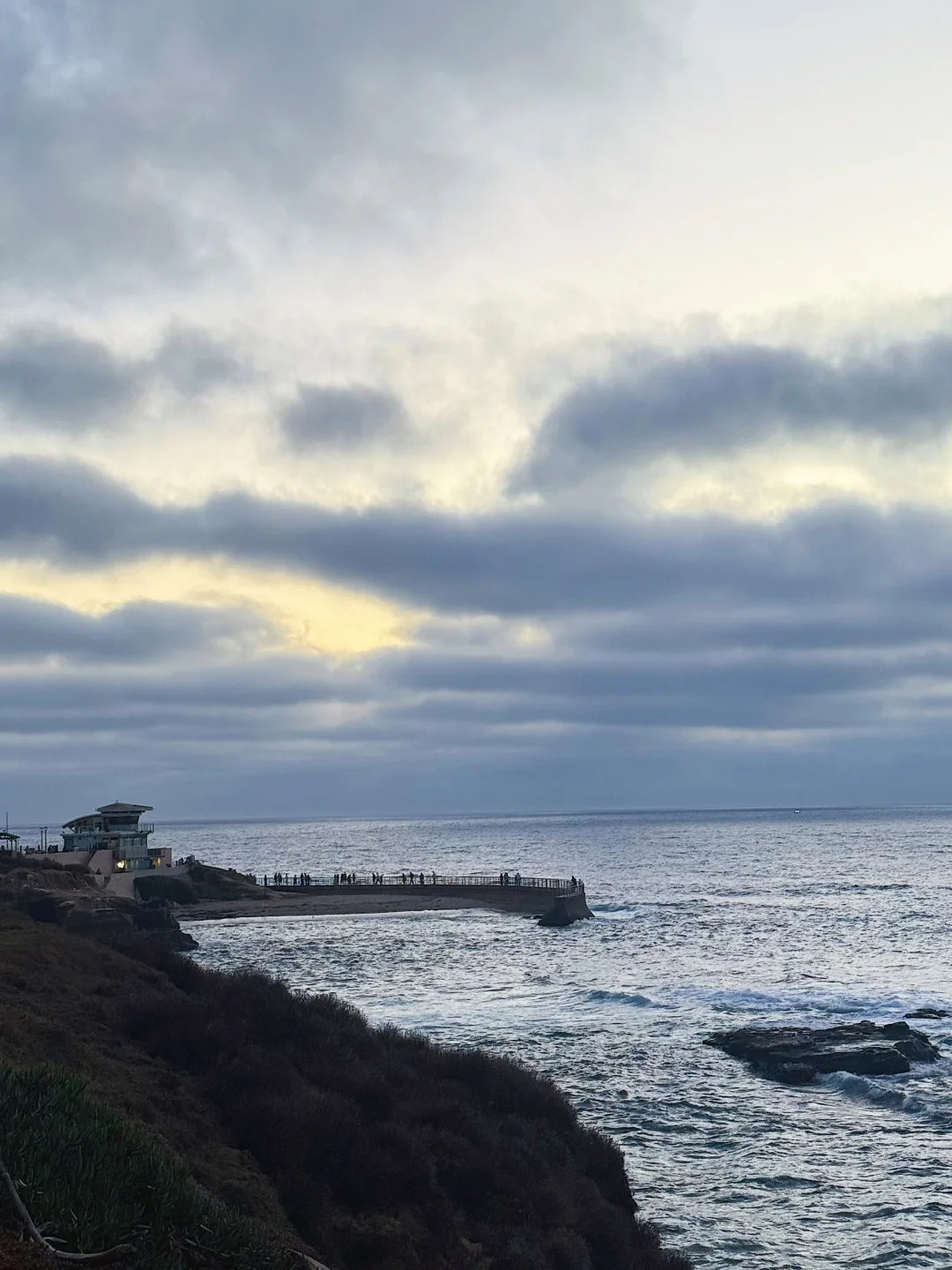 干了～续命咖啡☕️