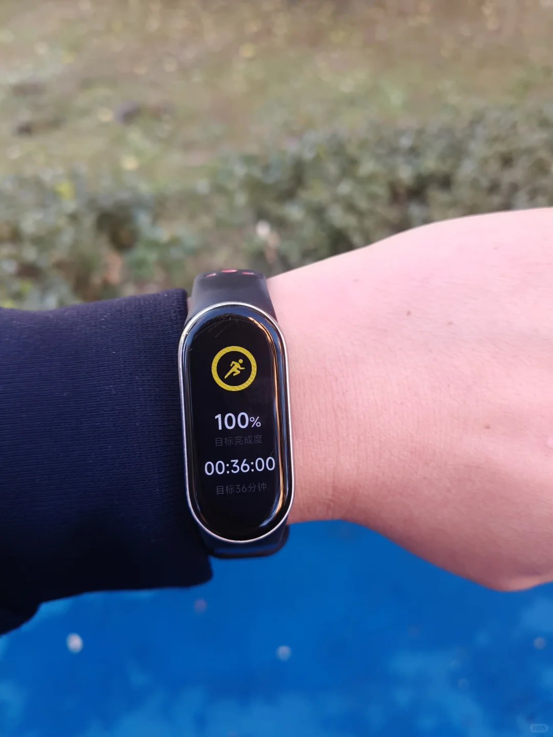 11月修复第二天