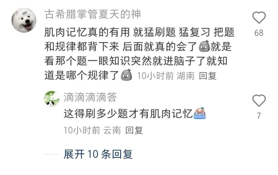 这哪是邪修啊,简直就是事业单位天才!这哪