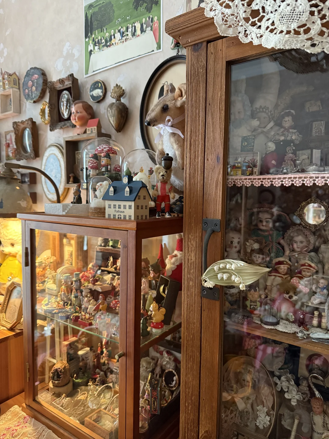 ?珍奇屋｜我家奇奇怪怪的玩物收藏?