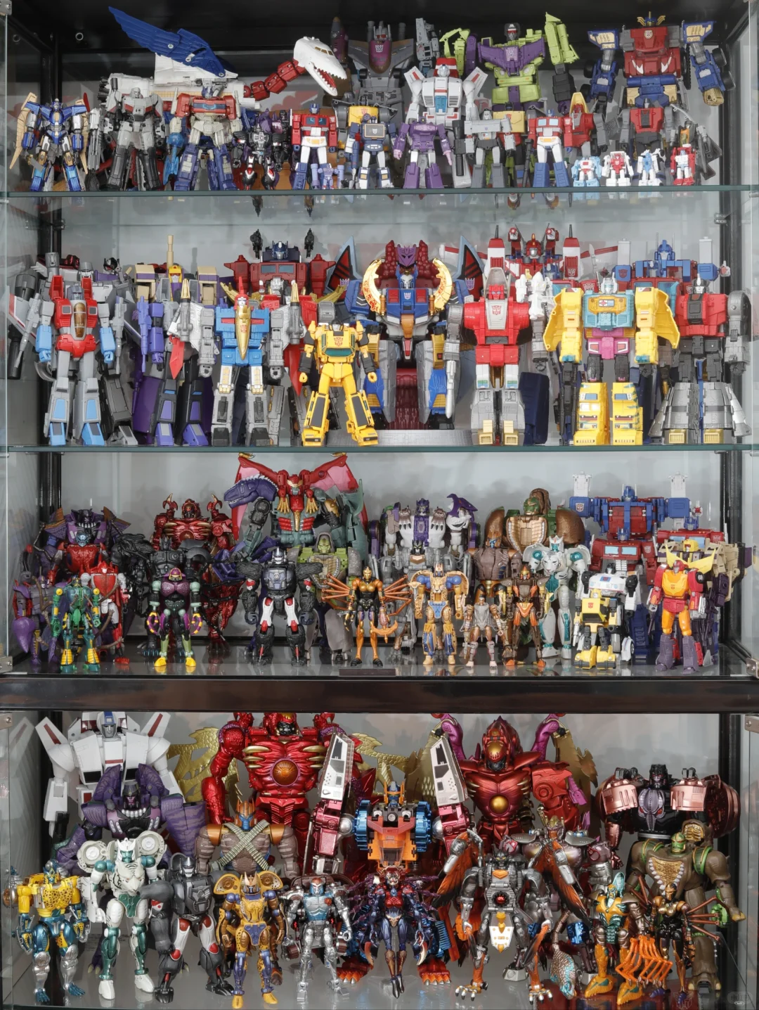 一年时间买的玩具