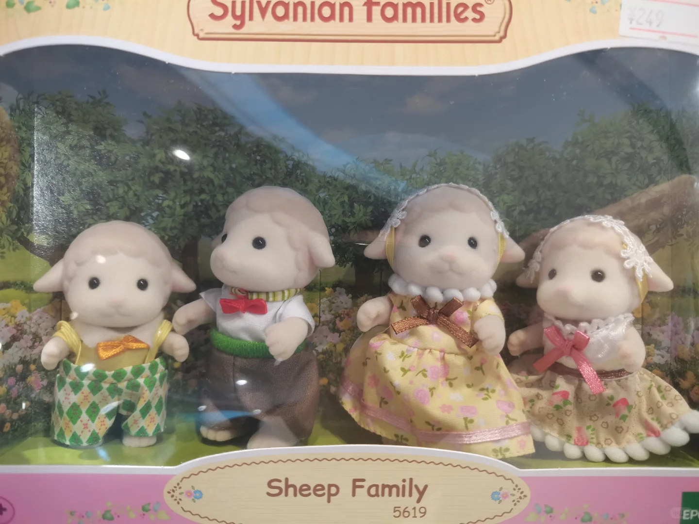 森贝儿家族日常分享