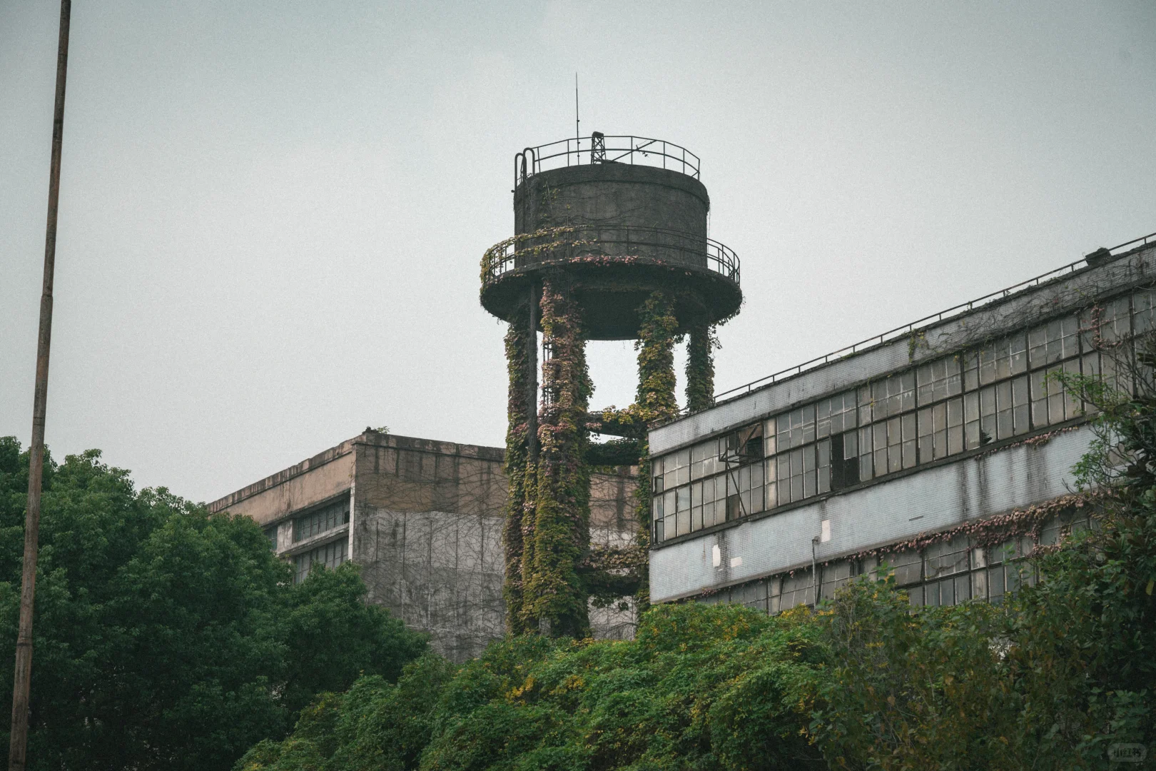 残骸与新生，大自然改造了废弃工厂