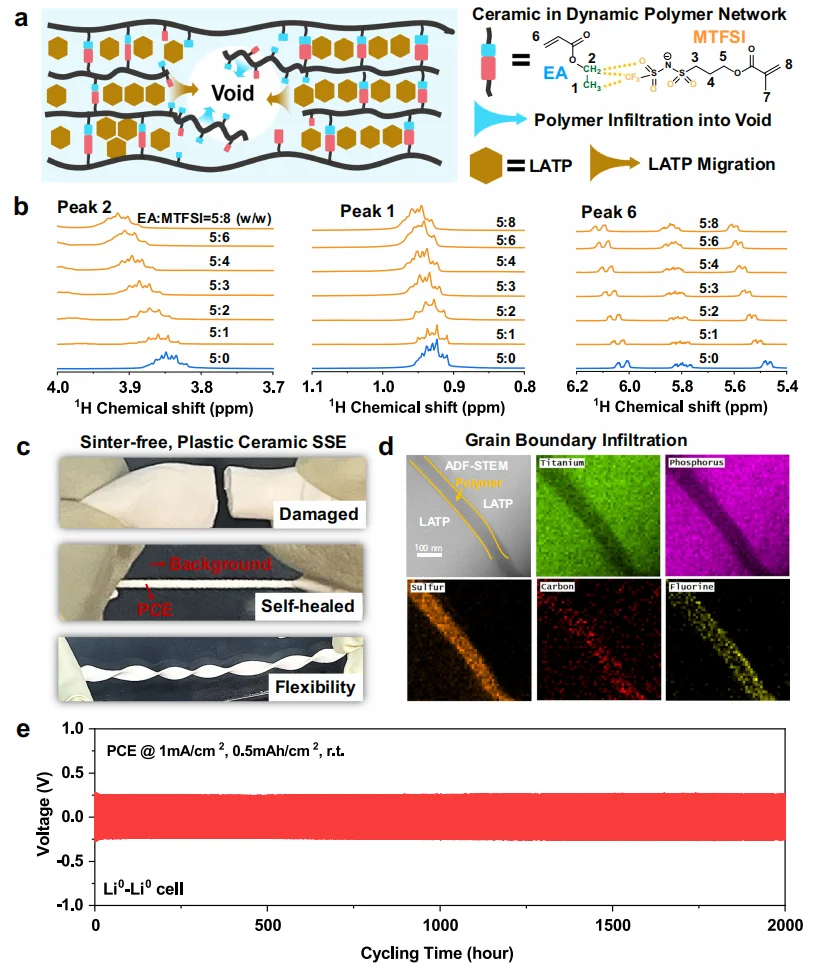 一种用于锂金属电池自修复塑料陶瓷电解质