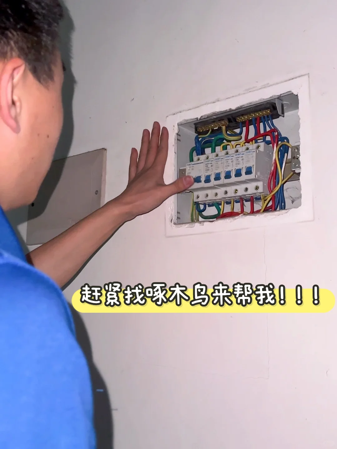 啄木鸟上门修电路,安全又省心?
