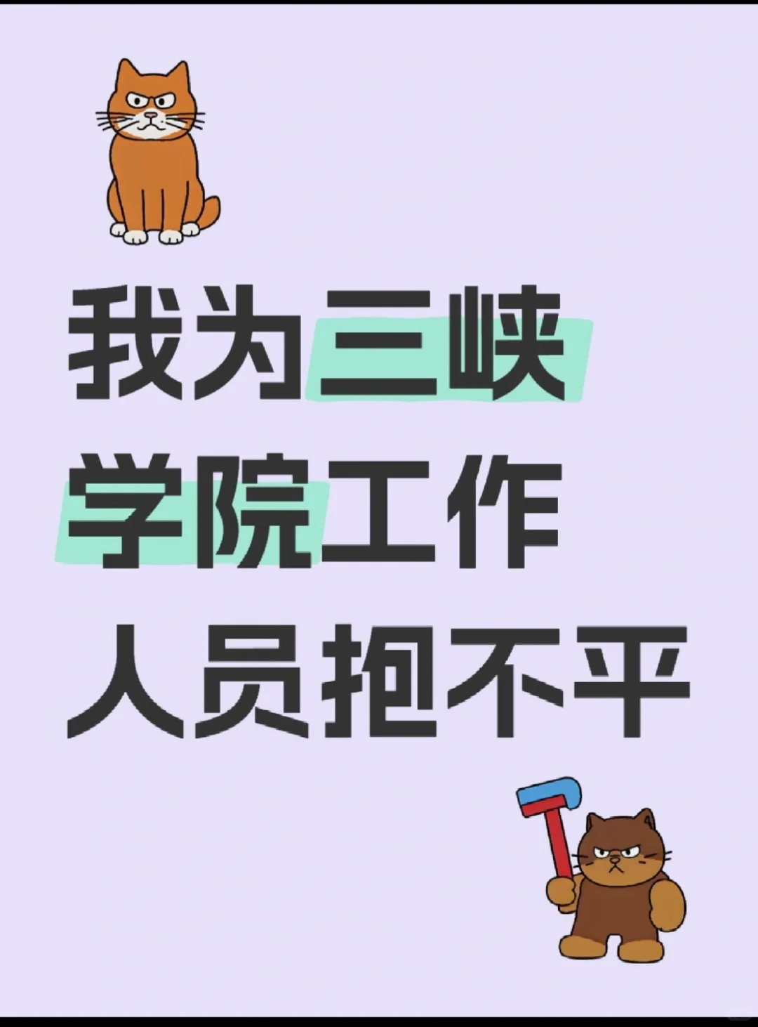 我为三峡学院招标的工作人员抱不平