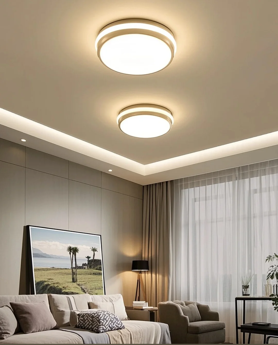 大家筒灯射灯灯带轨道插座都买的什么呢