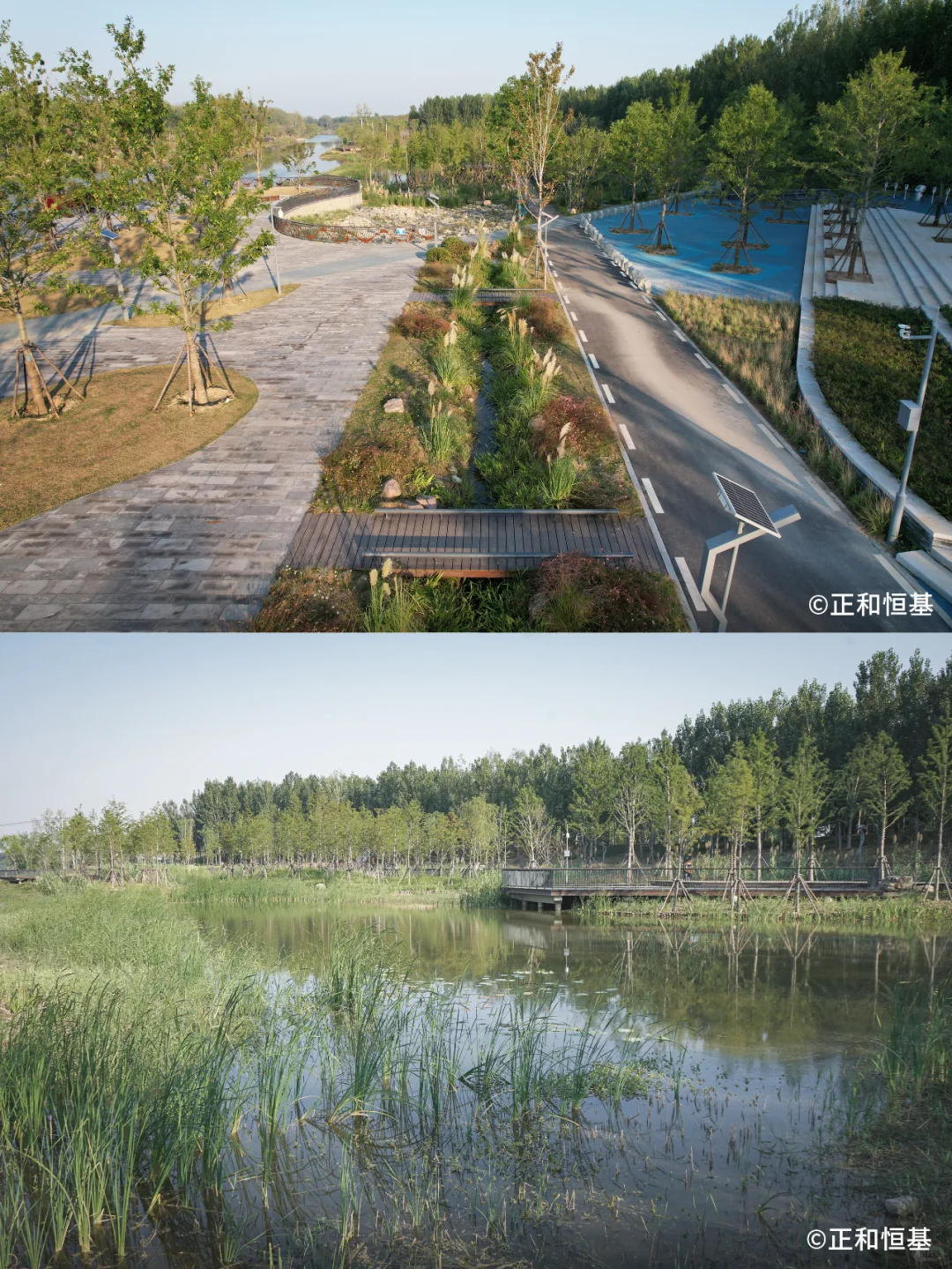 2023 IFLA 获奖项目:低干扰生态韧性修复