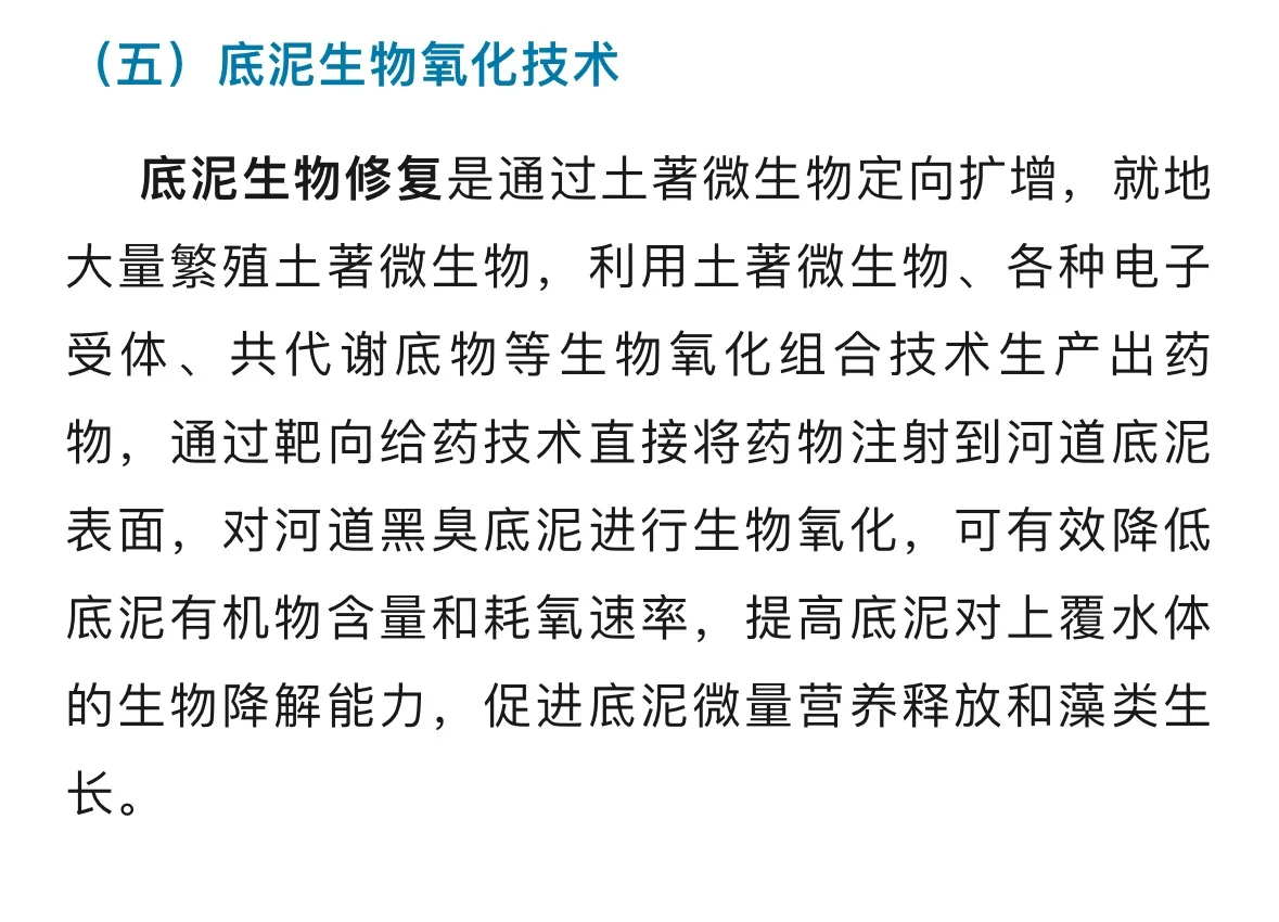 黑臭河道治理技术 ，要点在于生态修复