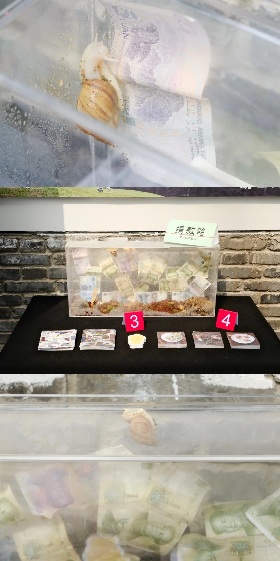 Snailgraphy毕设时间！～