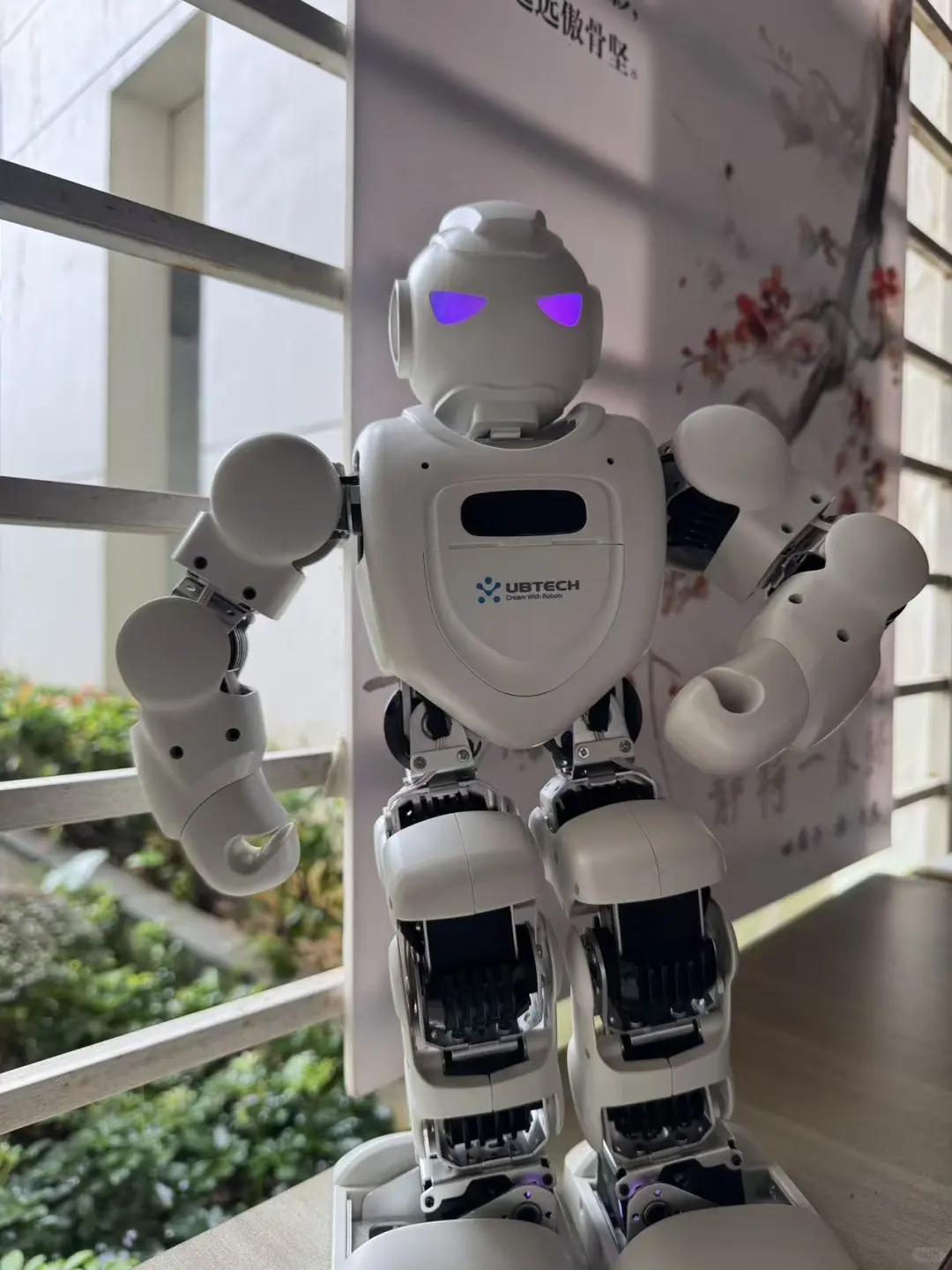 暑期最满意的投资——ebot机器人