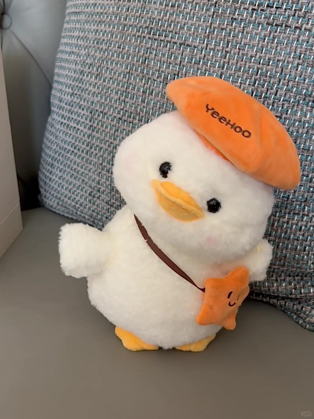 怎么办。。送给小侄子的礼物太可爱了