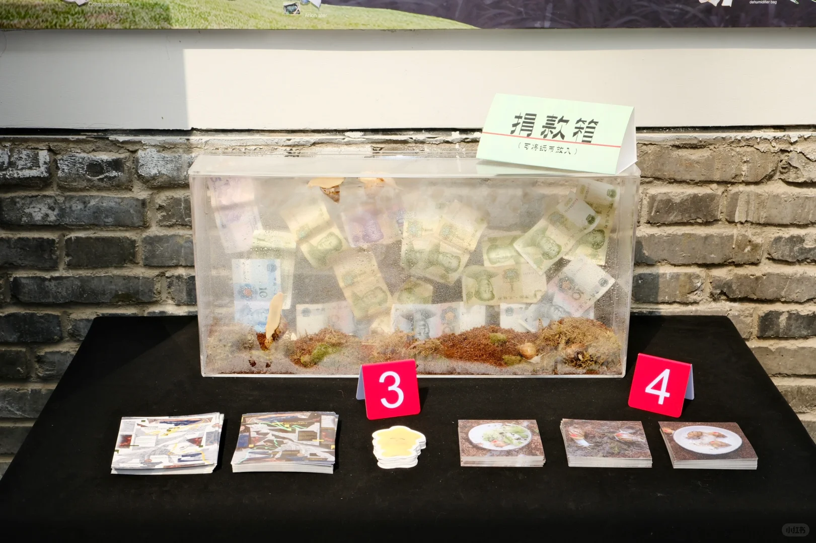 Snailgraphy毕设时间！～