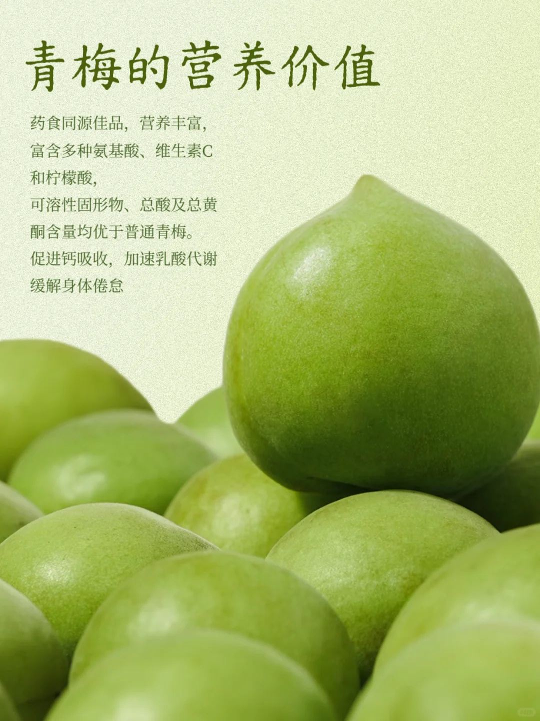 解码诏安“凉果之王”的天时地利人和?