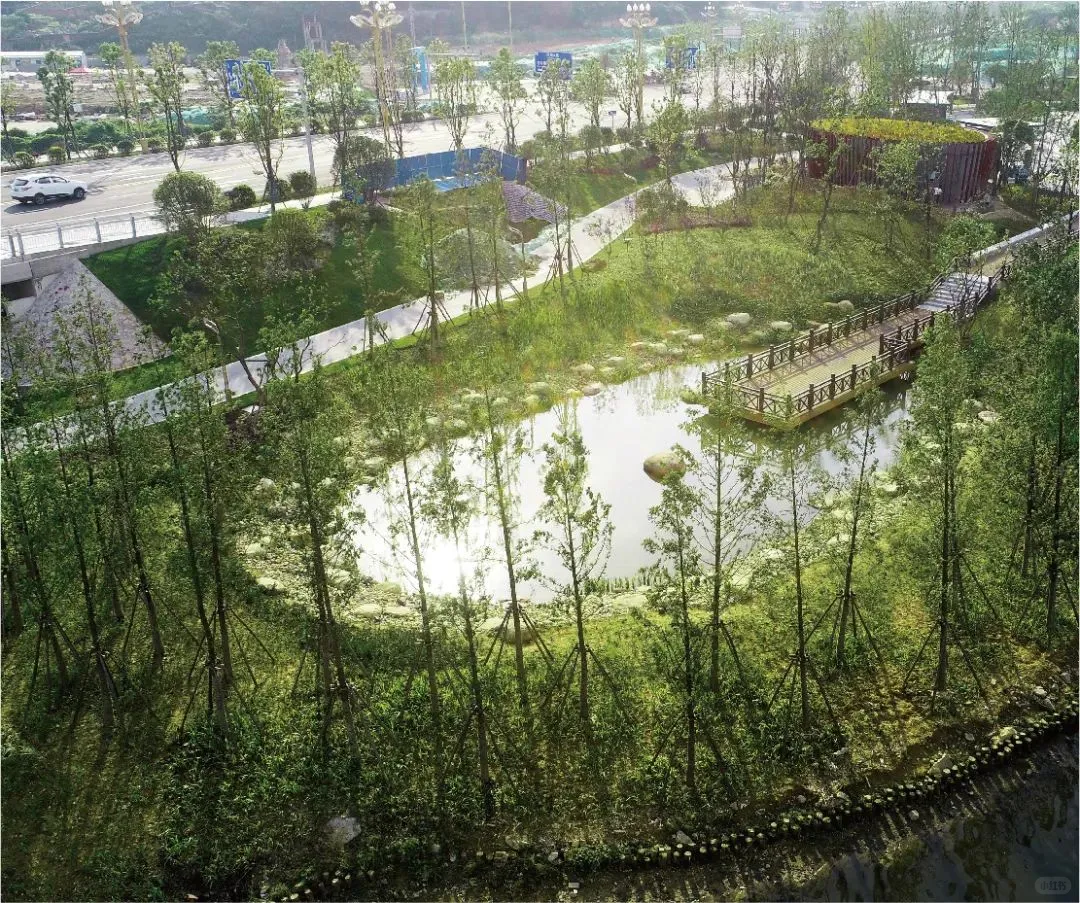 黑臭水体治理内幕：哪些技术只是烧钱的噱头