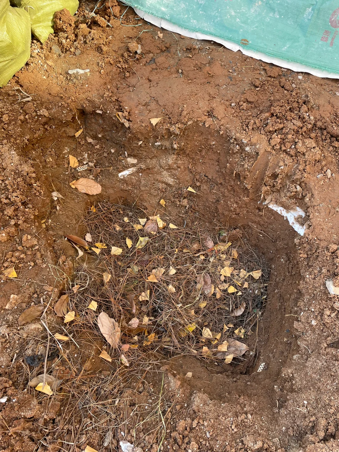 堆肥初体验，这样能成功吗