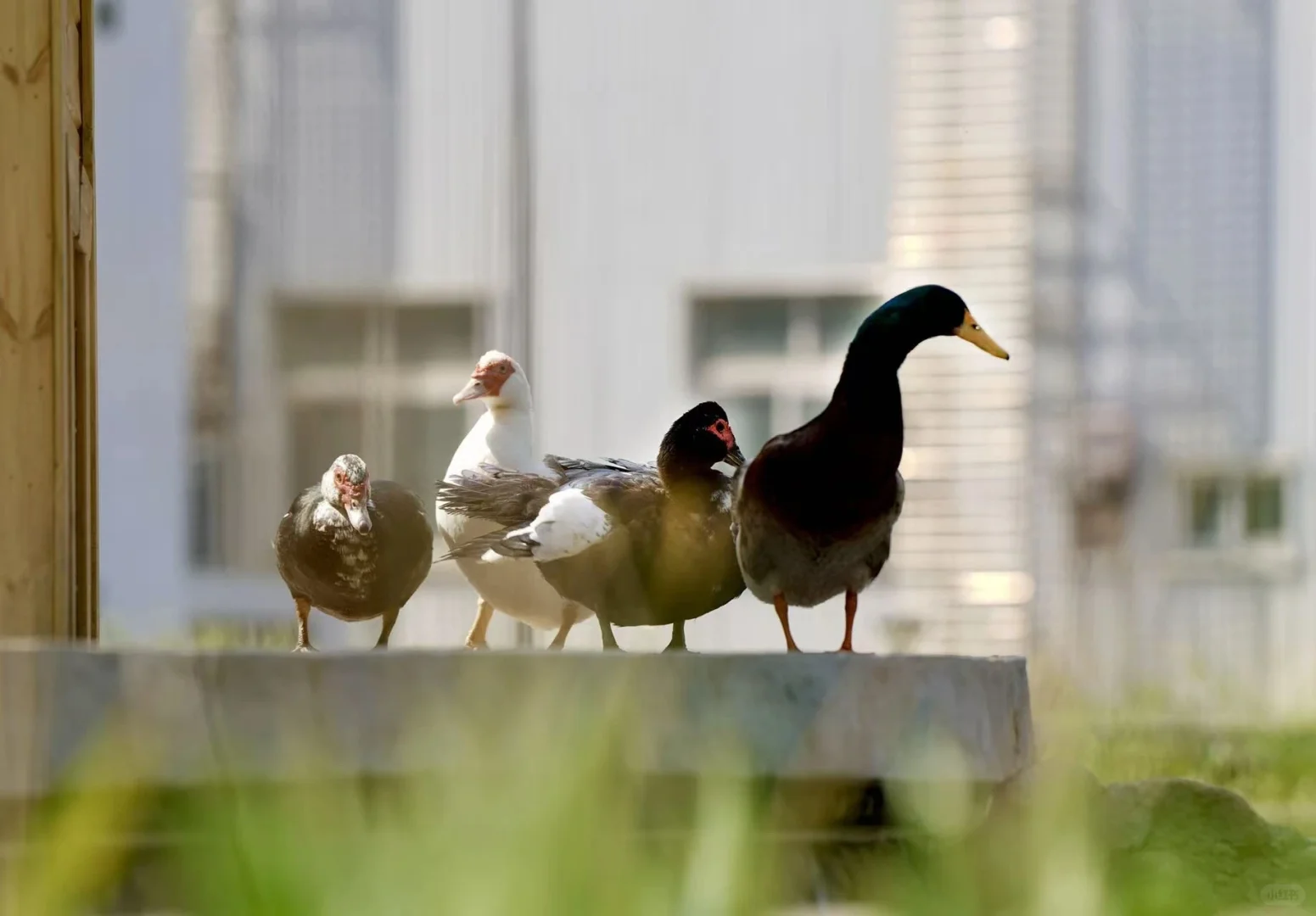 开学体检 到底都有哪些项目呢？