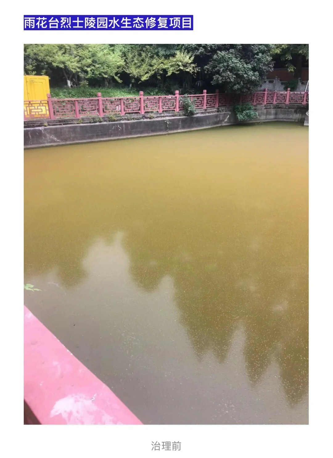 水生植物在水生态修复中的应用问题……