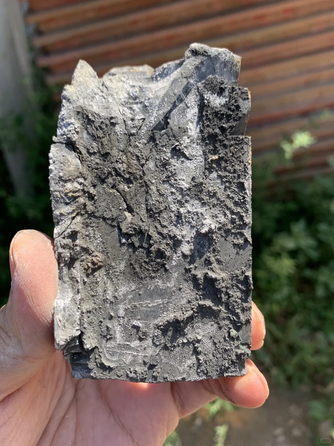 大家看看我在铝土矿里发现了啥