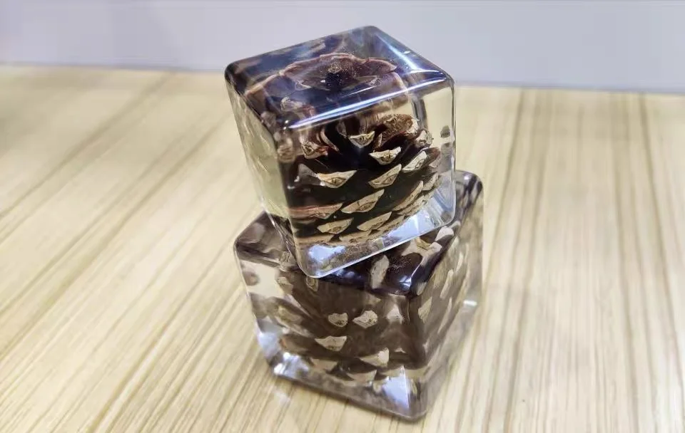 立体滴胶标本制作过程的避坑指南总结!!!