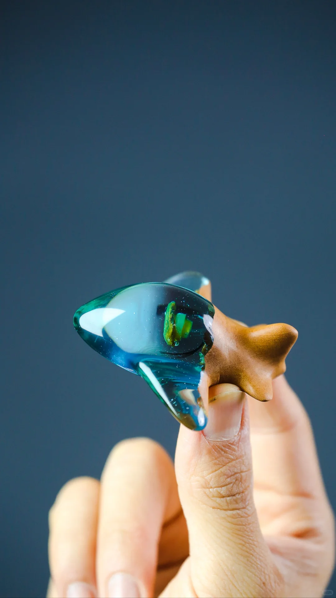 未来梦幻小飞机封存脐带胎发