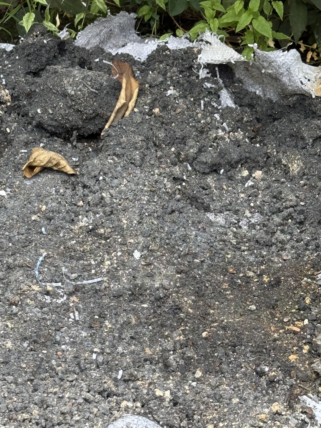 工业废图 受害者➕1