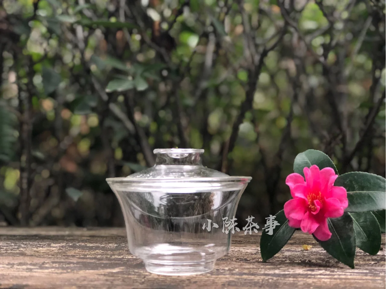 白瓷盖碗和玻璃盖碗,两字之差,差距多大?