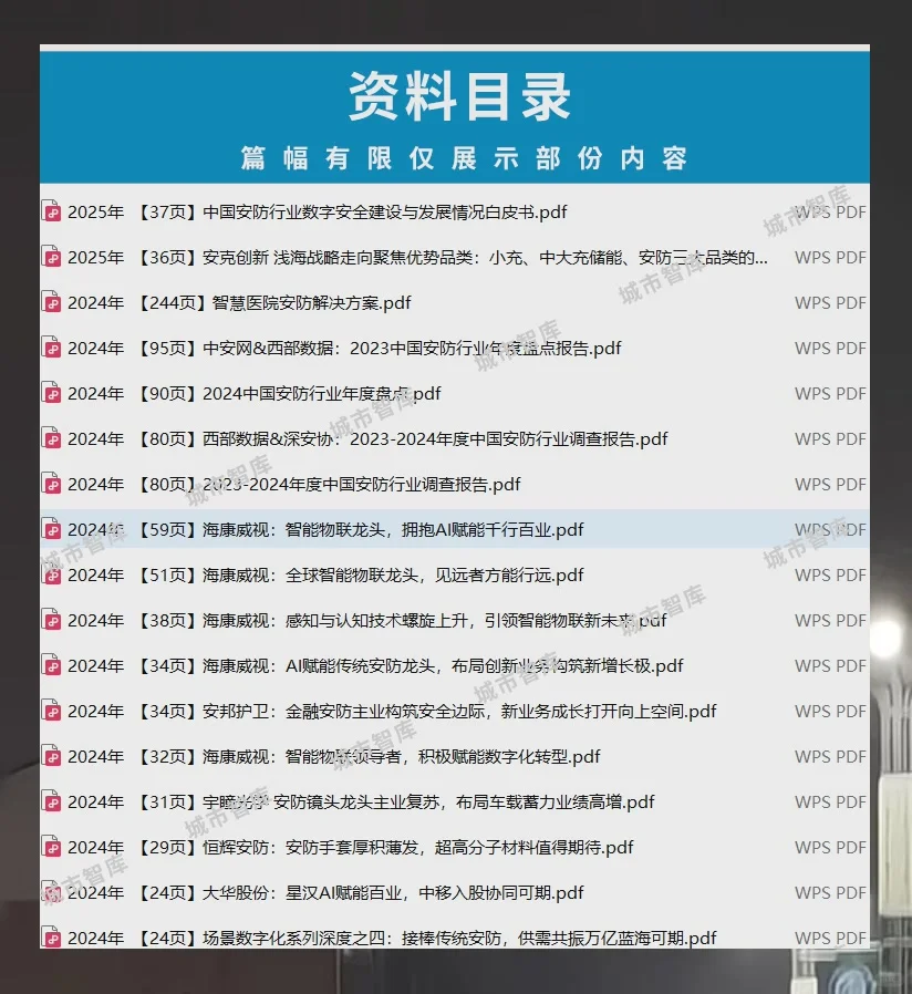 安防行业报告2025人工智能与视频监控市场趋