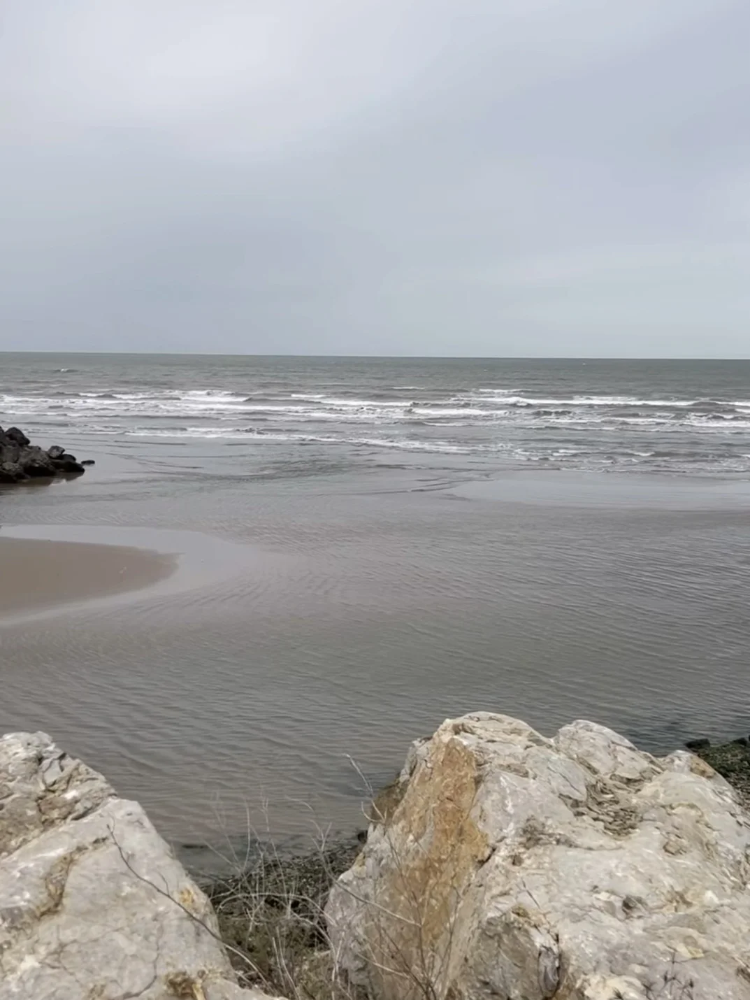 ✨ 大连海参人工养殖基地