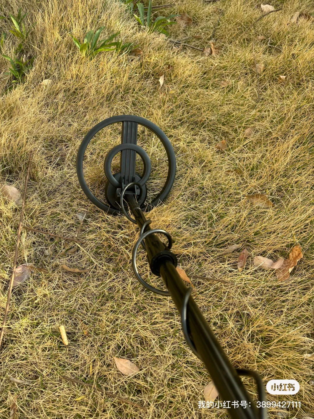 地下金属探测器 寻宝仪器