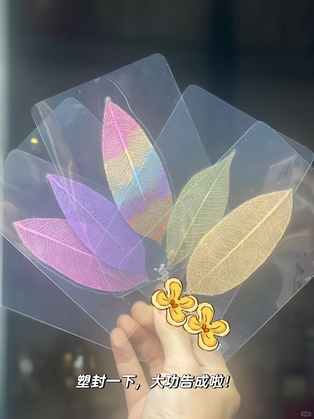 自然手工——零失败制作叶脉书签