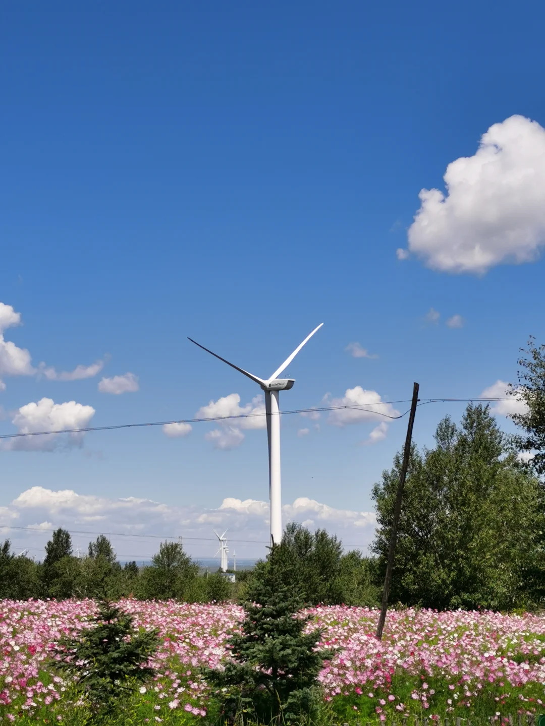 中国节能环保集团