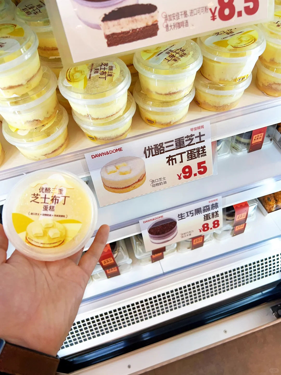 打卡常州网红蛋糕店 早安叮咚