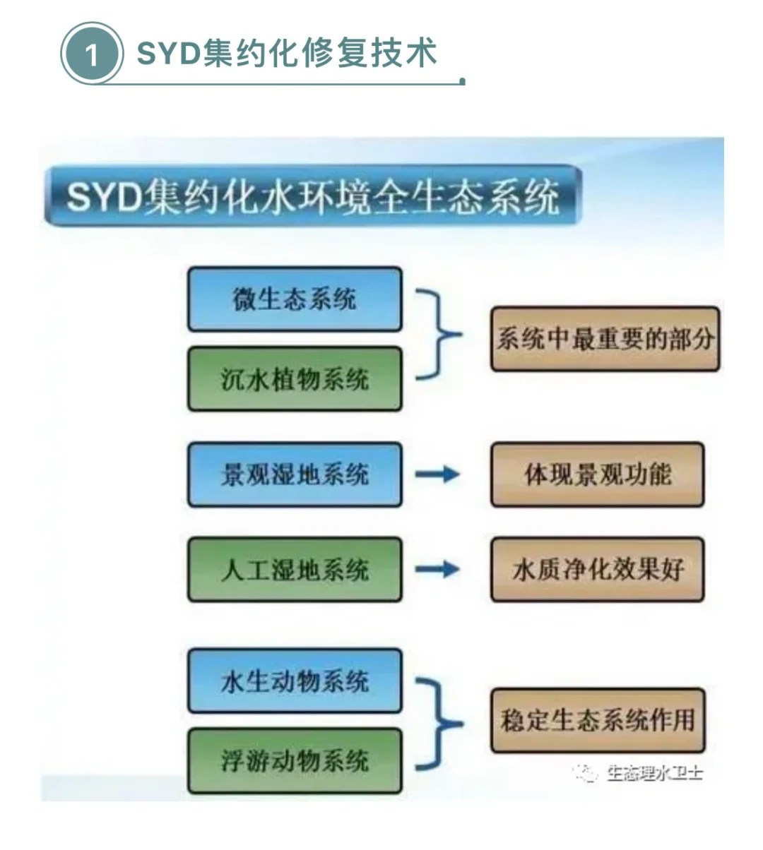 干货，水环境生态修复技术（一）